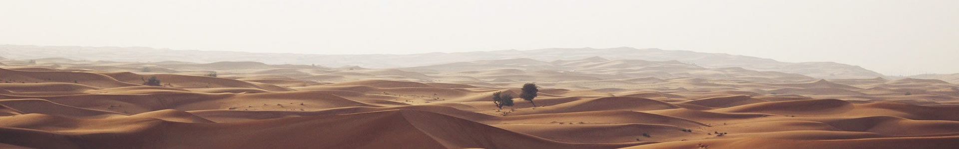 ŴӿƼ޹˾